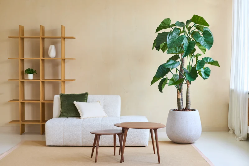 Kunstplant Alocasia 180 cm