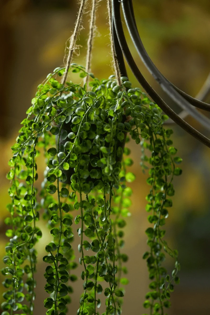 Ficus Pumila künstliche Hängepflanze 60cm mit Topf und Schnur