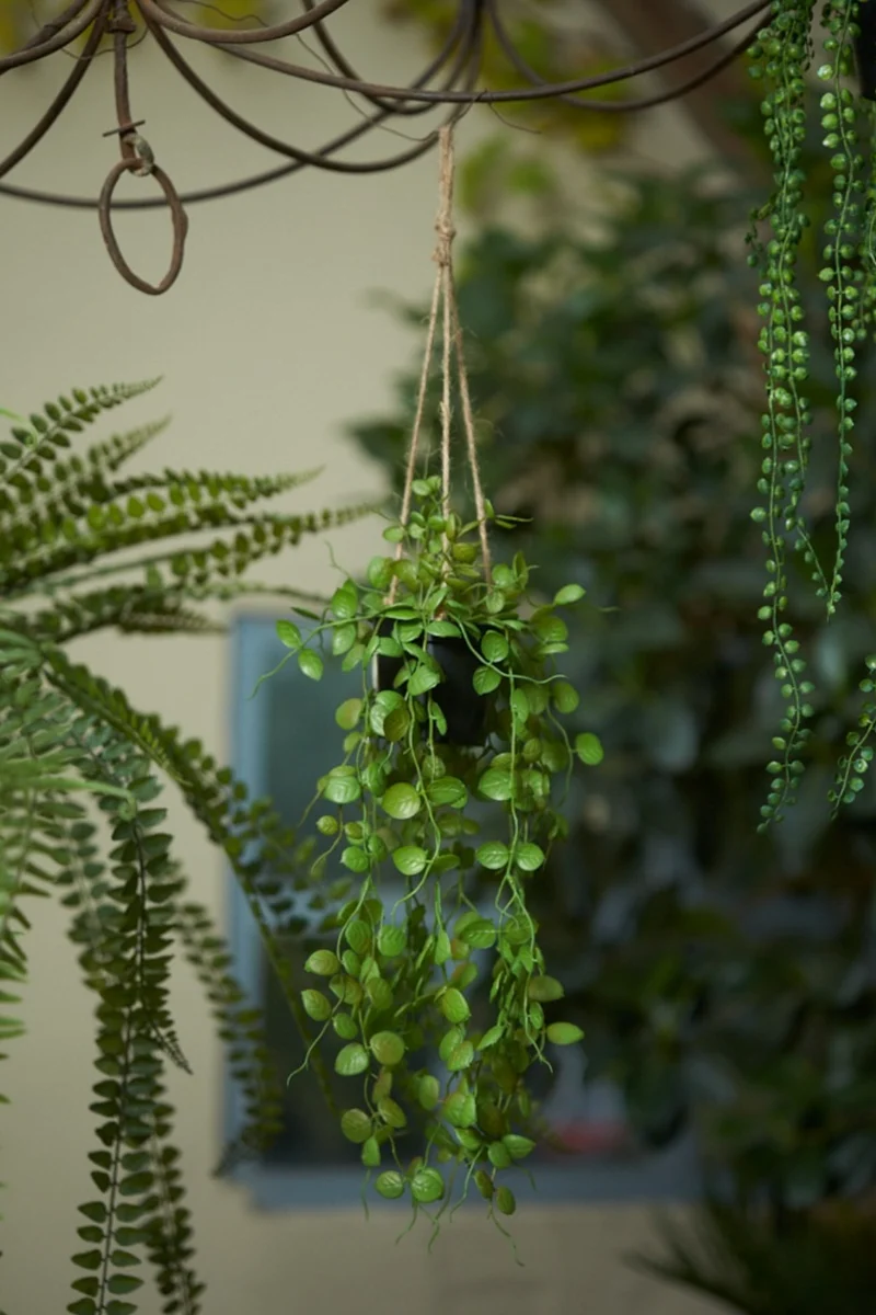 Ceropegia künstliche Hängepflanze 50cm