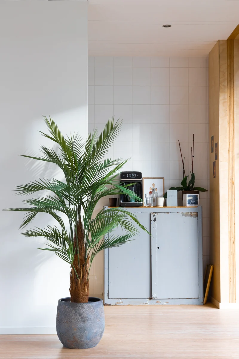 Palme Kunstpflanze 150cm
