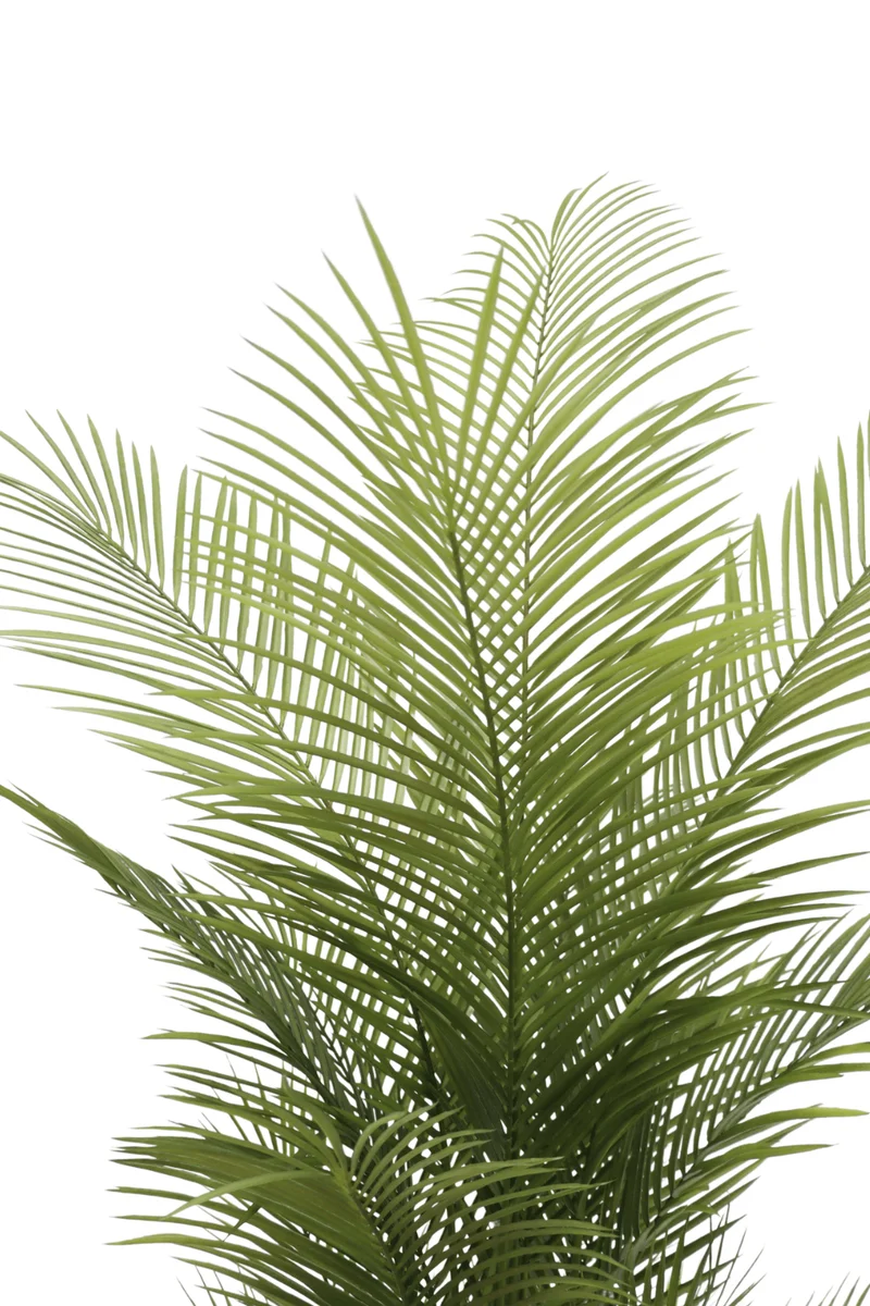 Palme Kunstpflanze 150cm