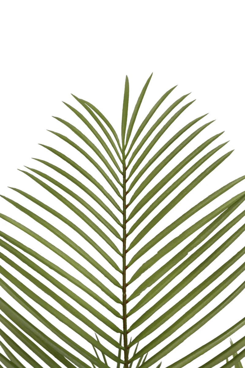 Palme Kunstpflanze 150cm