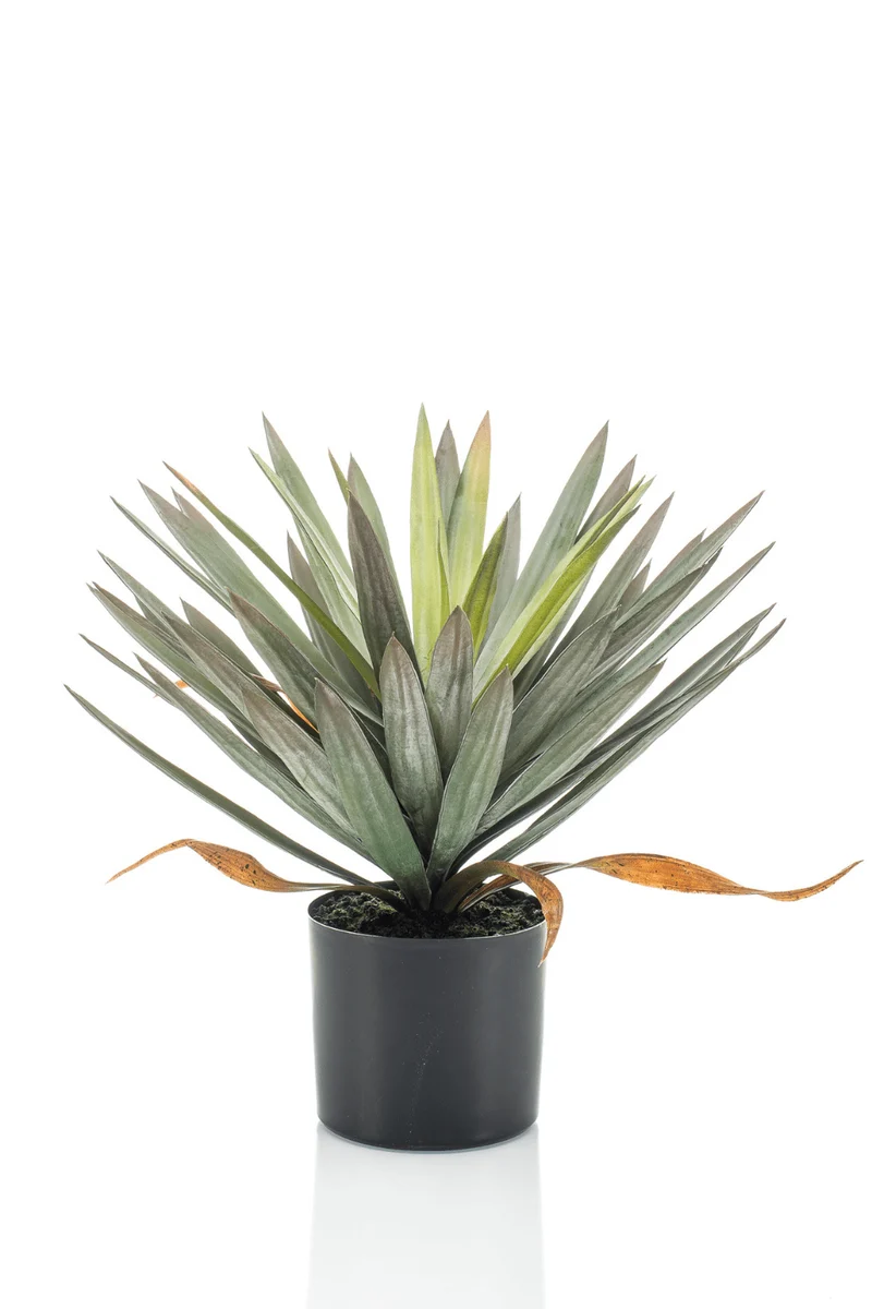 Yucca Kunstpflanze 50cm
