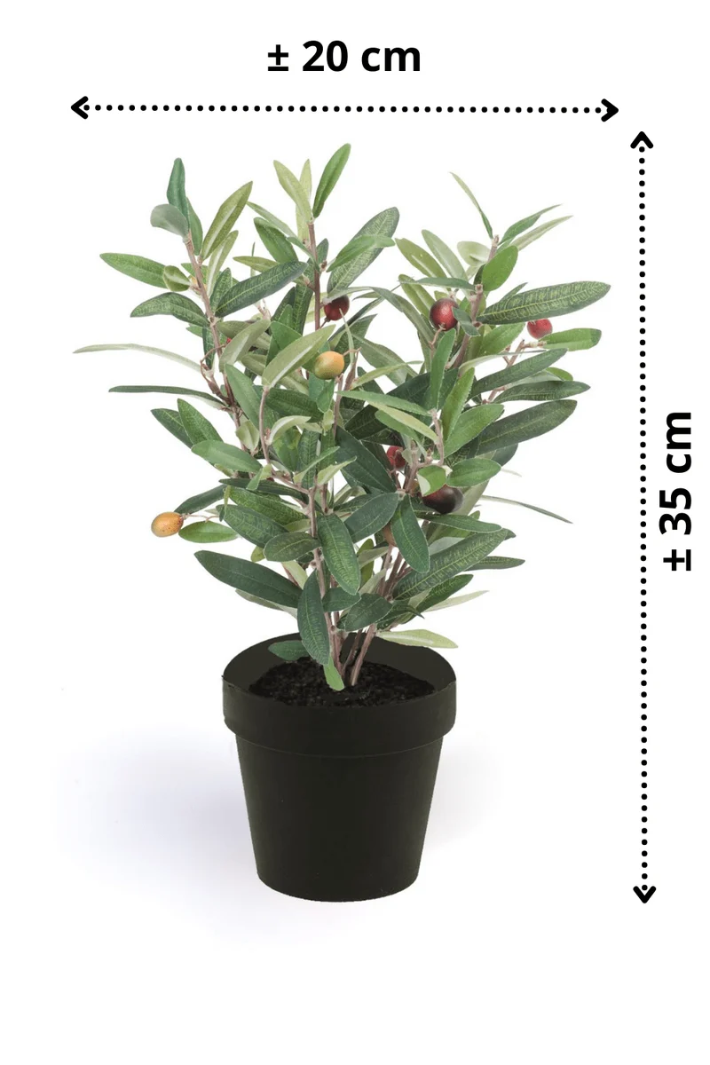 Olive Kunstpflanze 35cm