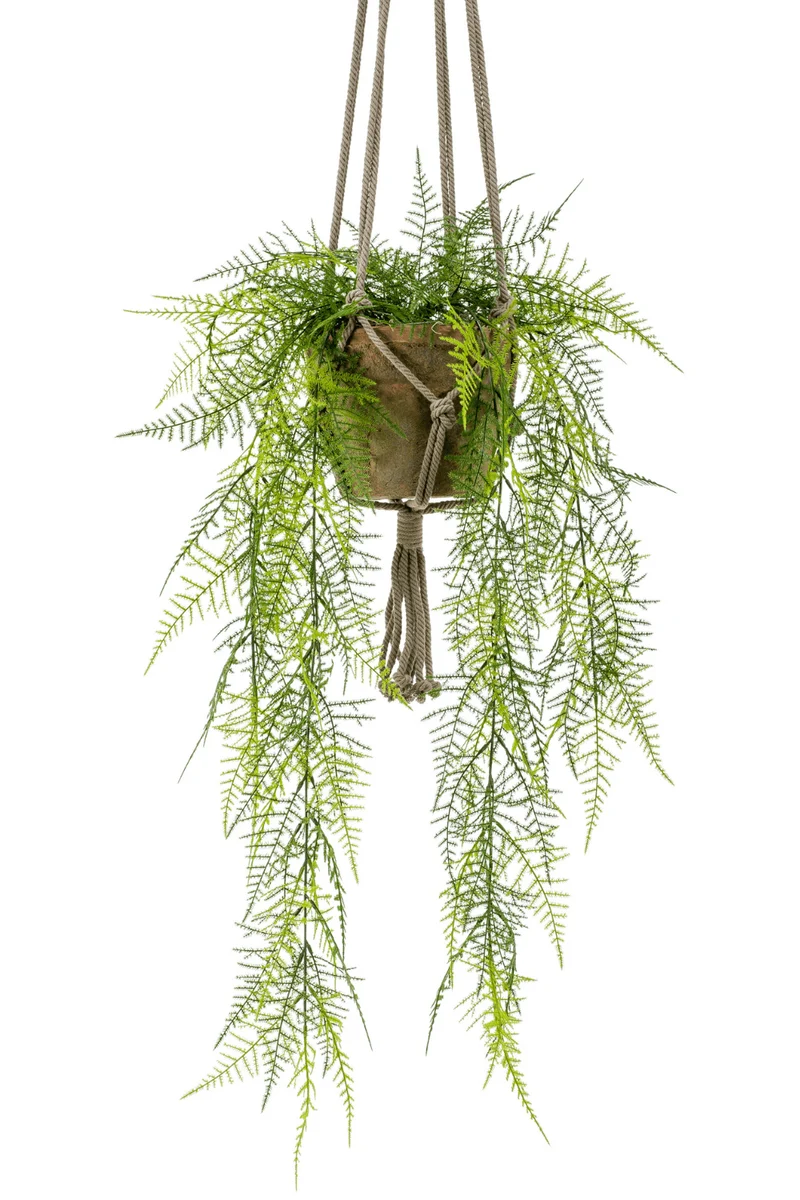 Spargel künstliche Hängepflanze 80cm mit Topf und Schnur