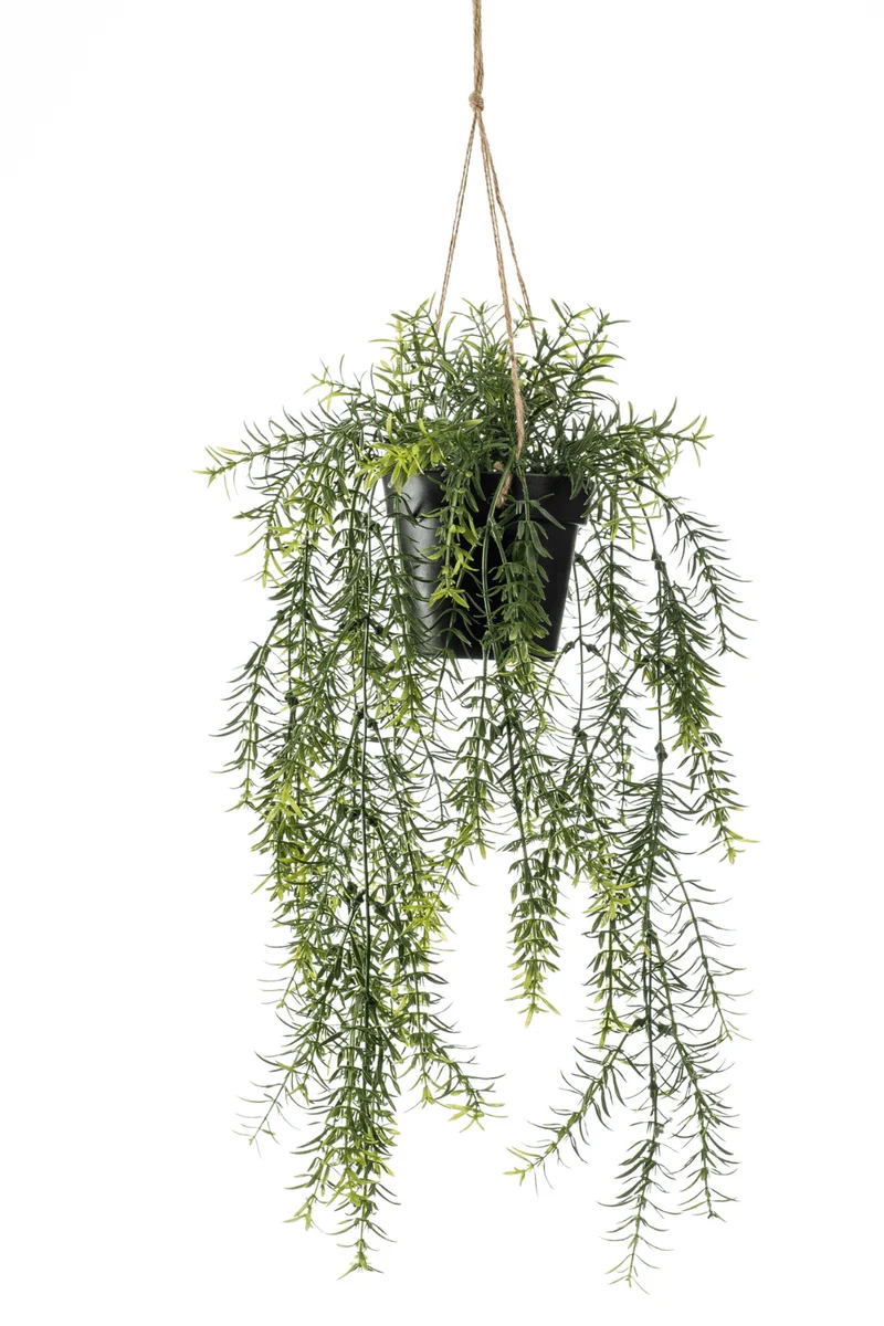 Spargel künstliche Hängepflanze 50cm mit Topf und Schnur