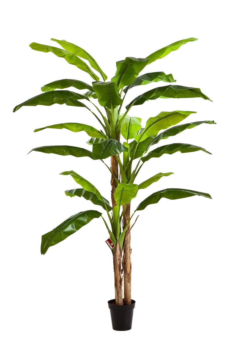Künstlicher Bananenbaum - Pauline | 300 cm