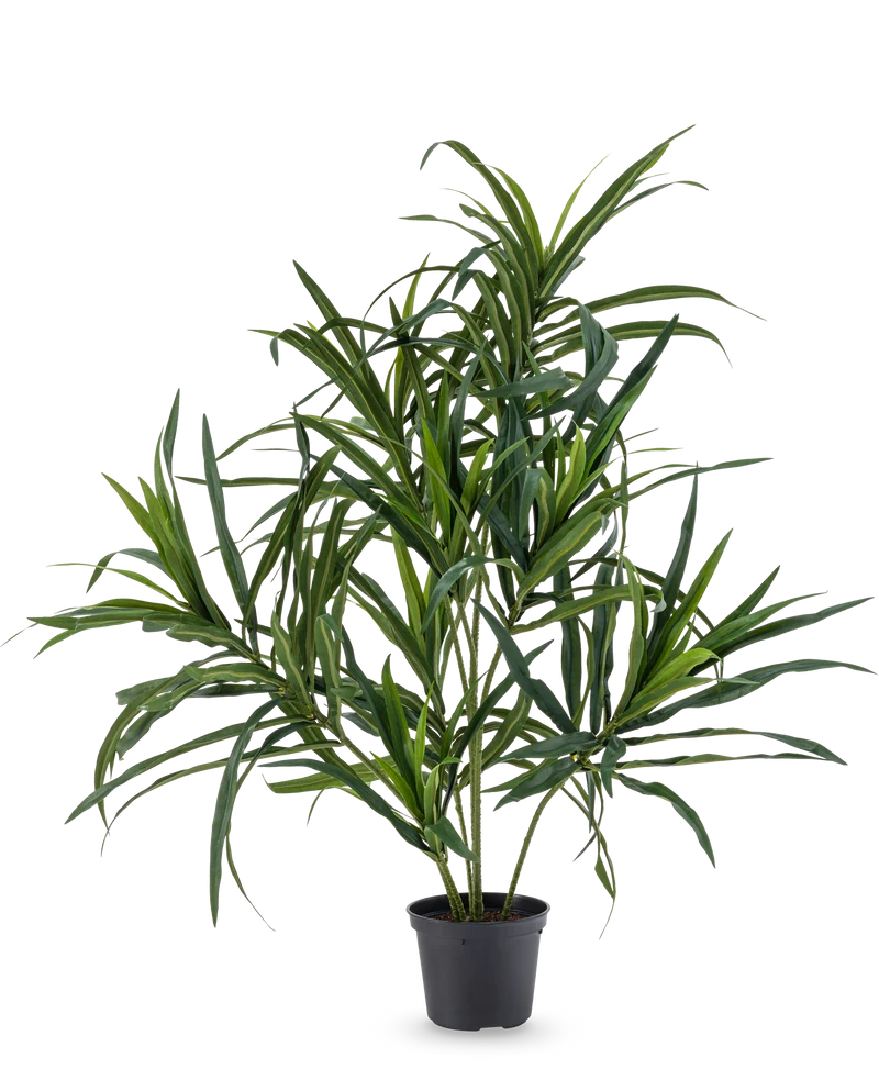 Kunstpflanze Dracaena Reflexa im Topf 63 cm