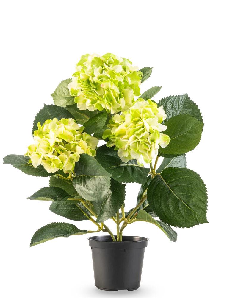Künstliche Hortensie Grün 35 cm