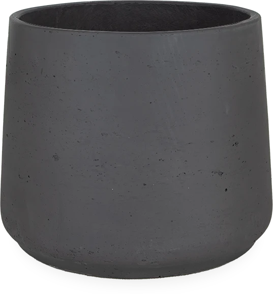 Patt (34cm)