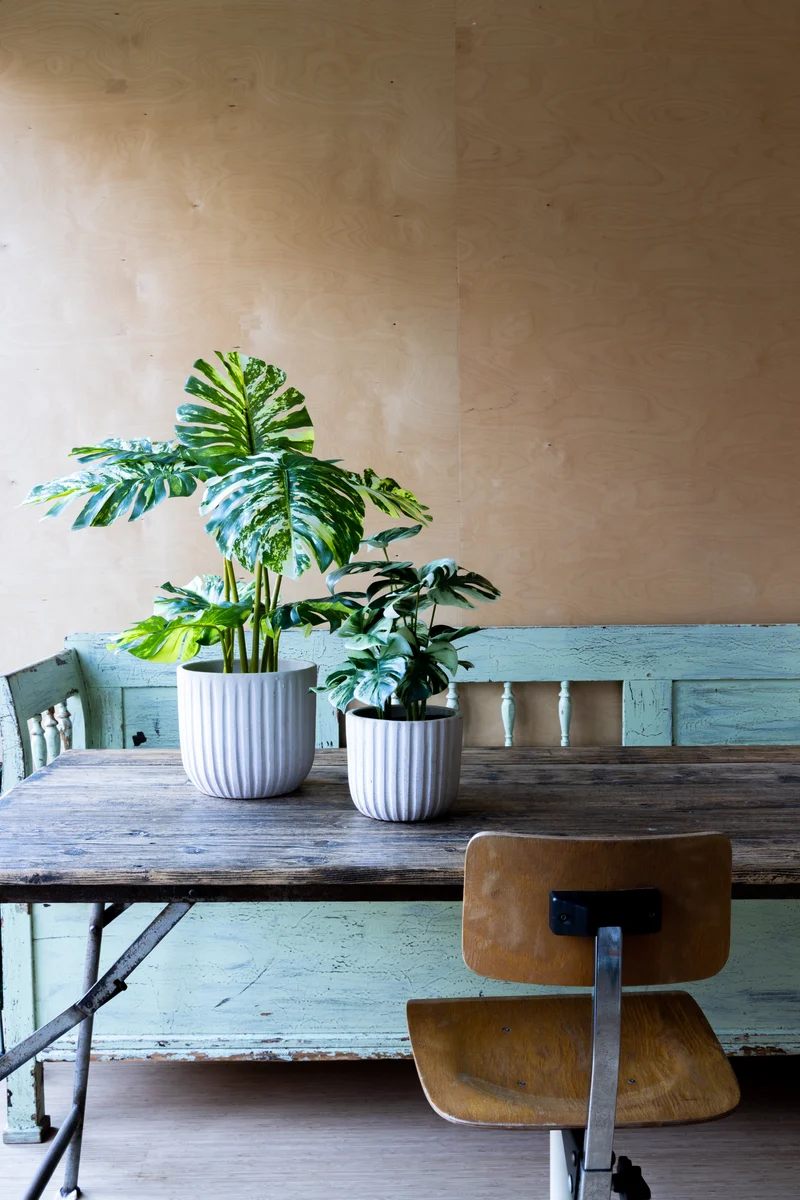 Monstera Kunstpflanze 75cm