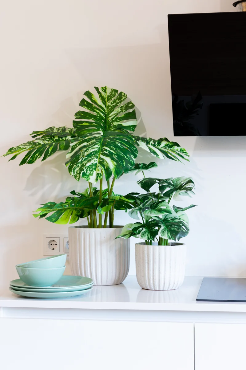 Monstera Kunstpflanze 75cm