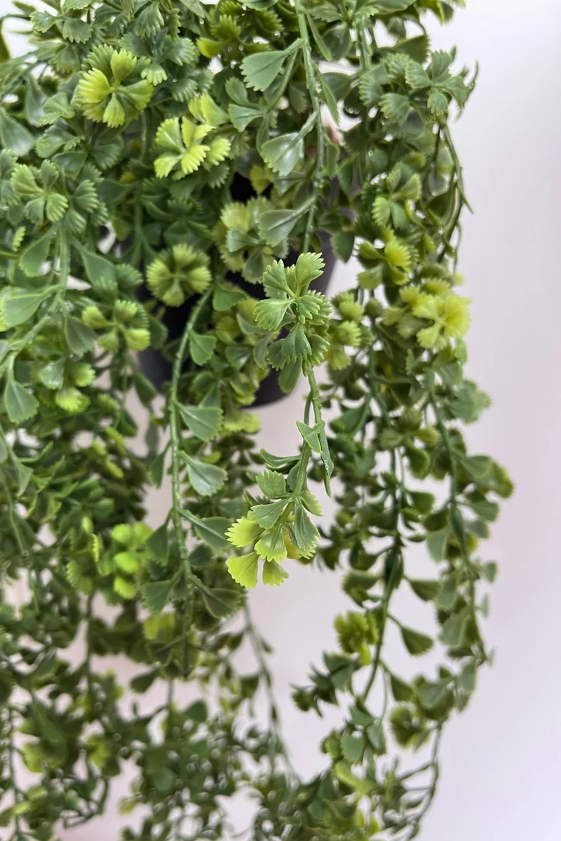 Galium künstliche Hängepflanze 75cm