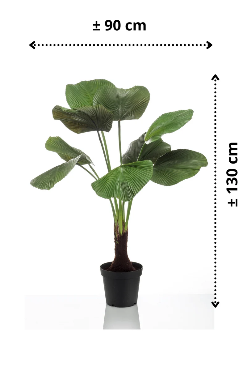 Palme Licuala Kunstpflanze 130cm