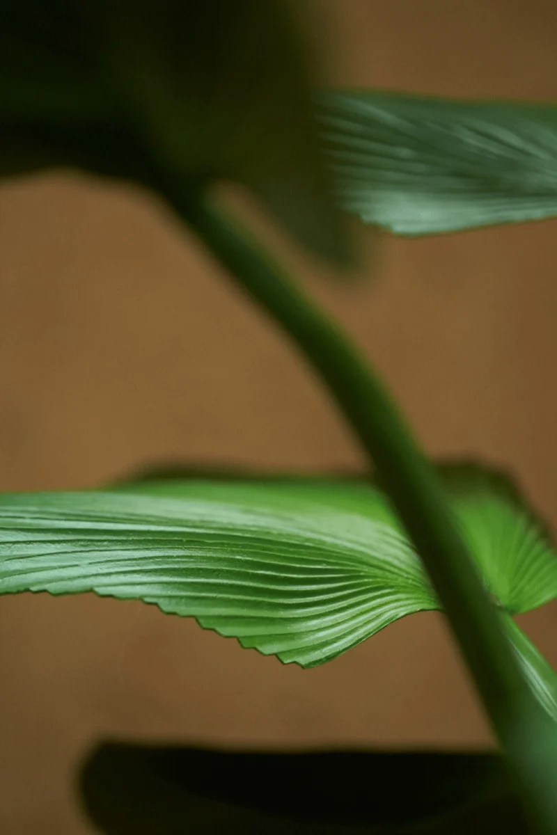 Palme Licuala Kunstpflanze 130cm