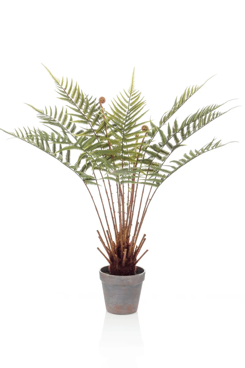 Farn Dicksonia Kunstpflanze 60cm
