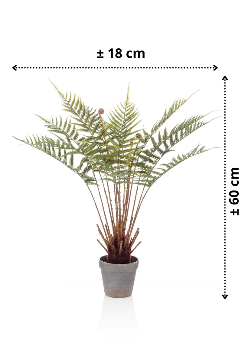 Farn Dicksonia Kunstpflanze 60cm