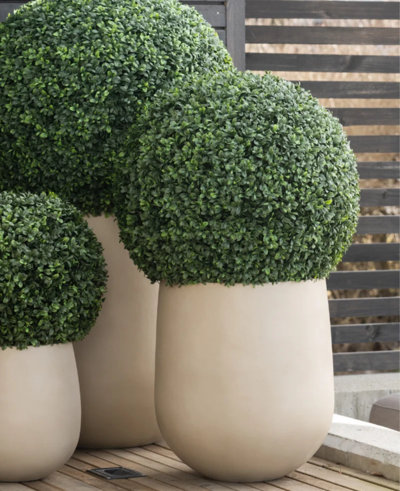 Kunstplant Buxus romeinse stijl UV D55cm