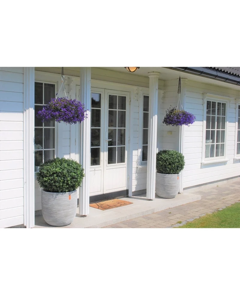 Kunstplant Buxus op stam romeinse stijl UV 85cm