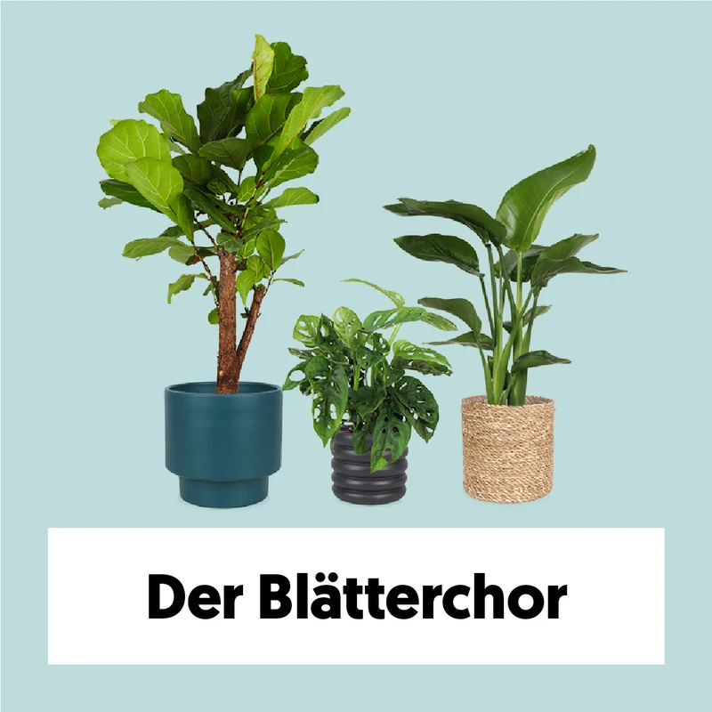 Der Blätterchor