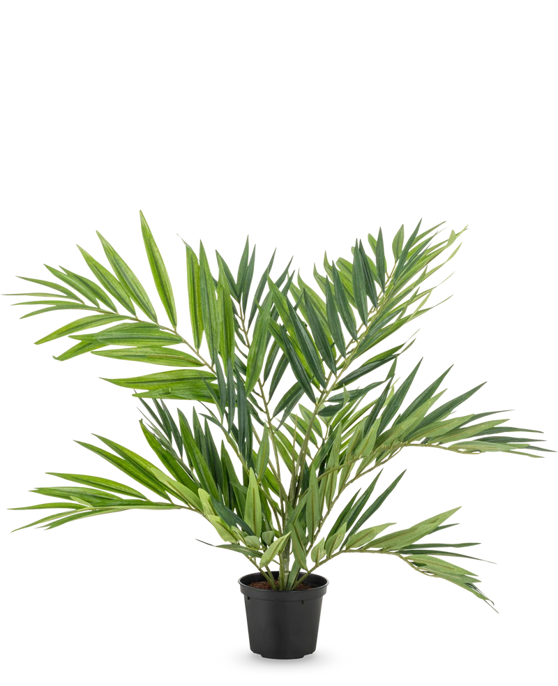 Künstliche Palme Parlour 60 cm