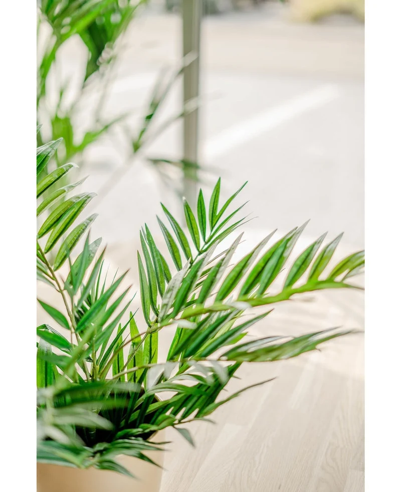 Künstliche Palme Parlour 60 cm