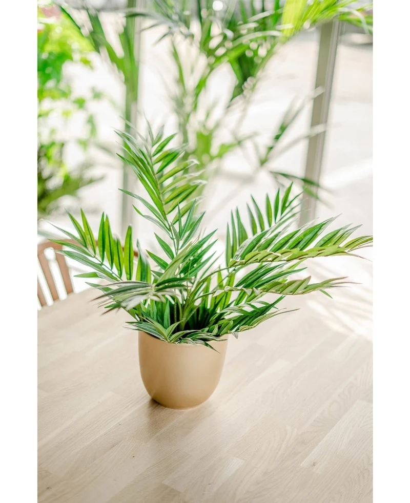 Künstliche Palme Parlour 60 cm