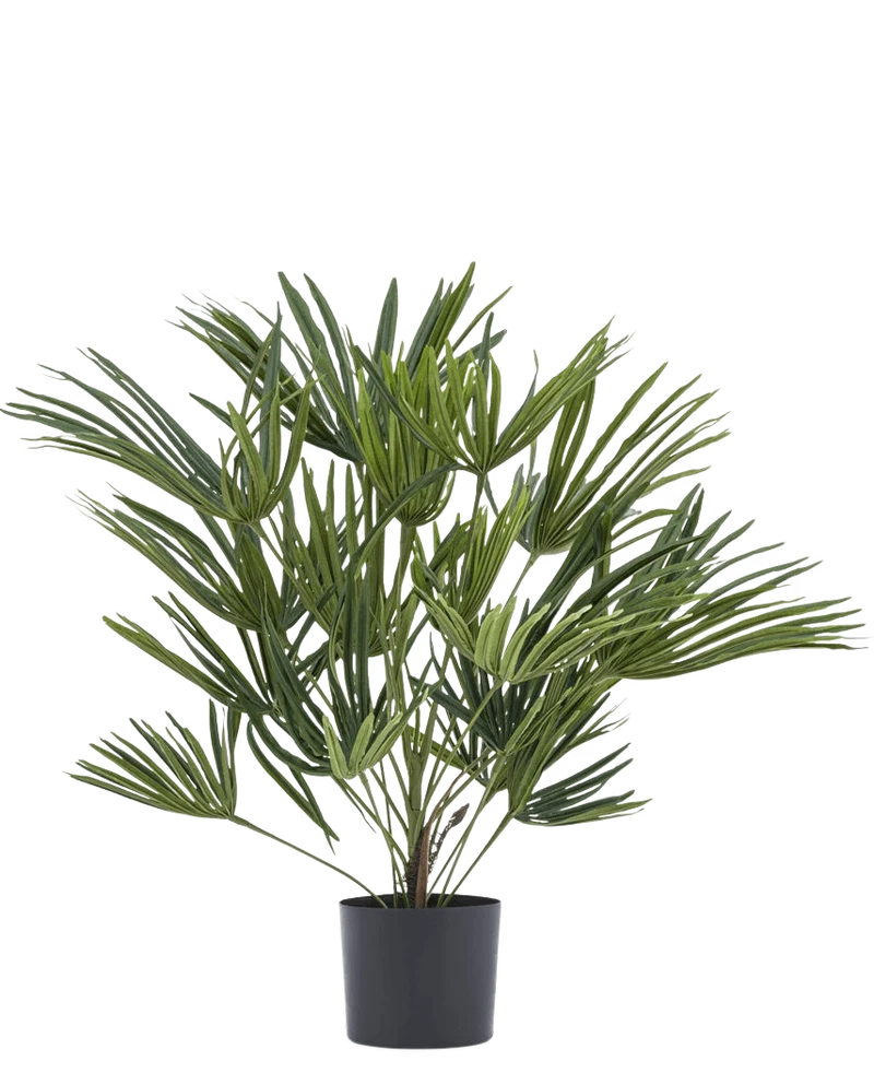 Kunstpflanze Baby Palm Fan im Topf 50 cm