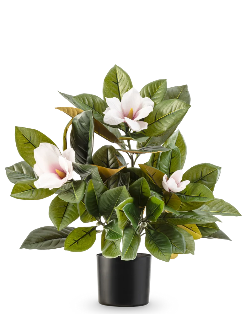 Kunstpflanze Magnolie im Topf 46 cm