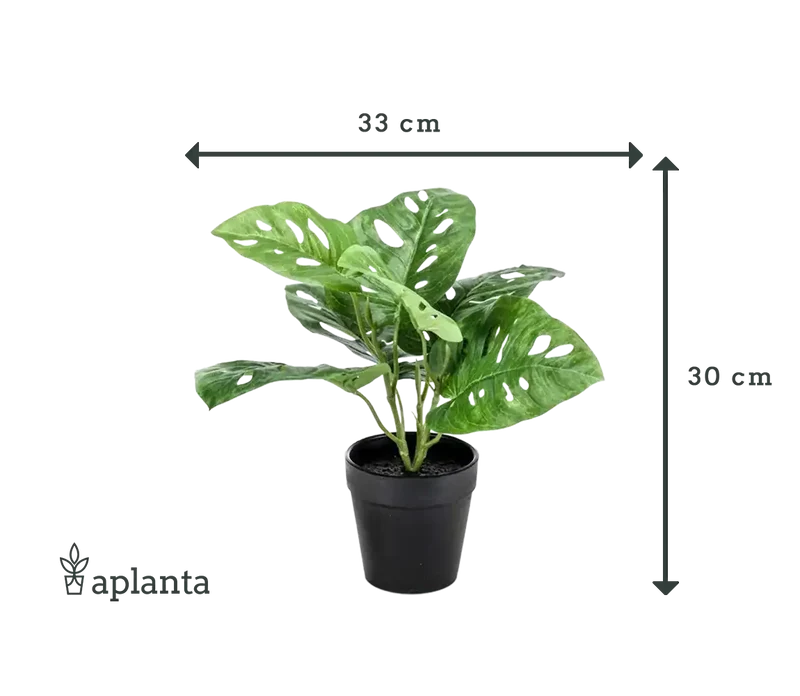 Künstliche Monstera - Jonah | 30 cm
