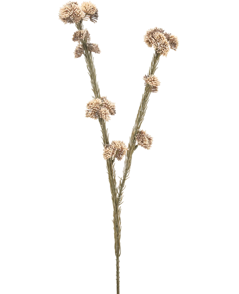 Künstliche Blume Ozothamnus diosmifolius 57 cm creme/braun