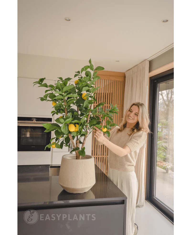 Kunstplant Citroenboom 90 cm