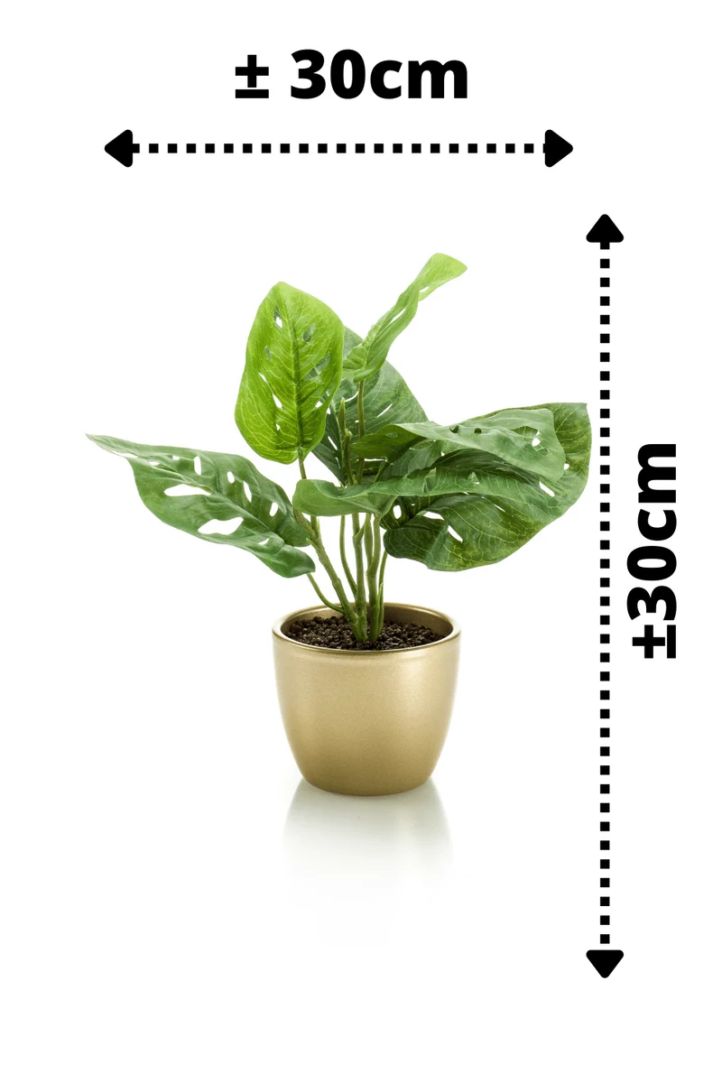 Monstera Monkey Bush Kunstpflanze im goldenen Topf 30cm