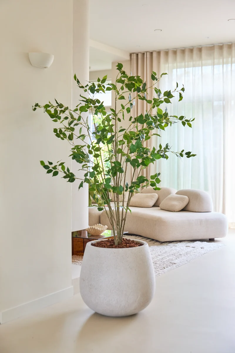 Kunstplant Ficus 180 cm