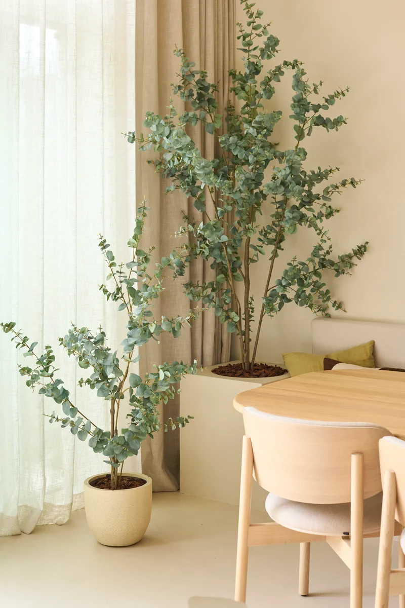 Kunstplant Eucalyptus 150 cm