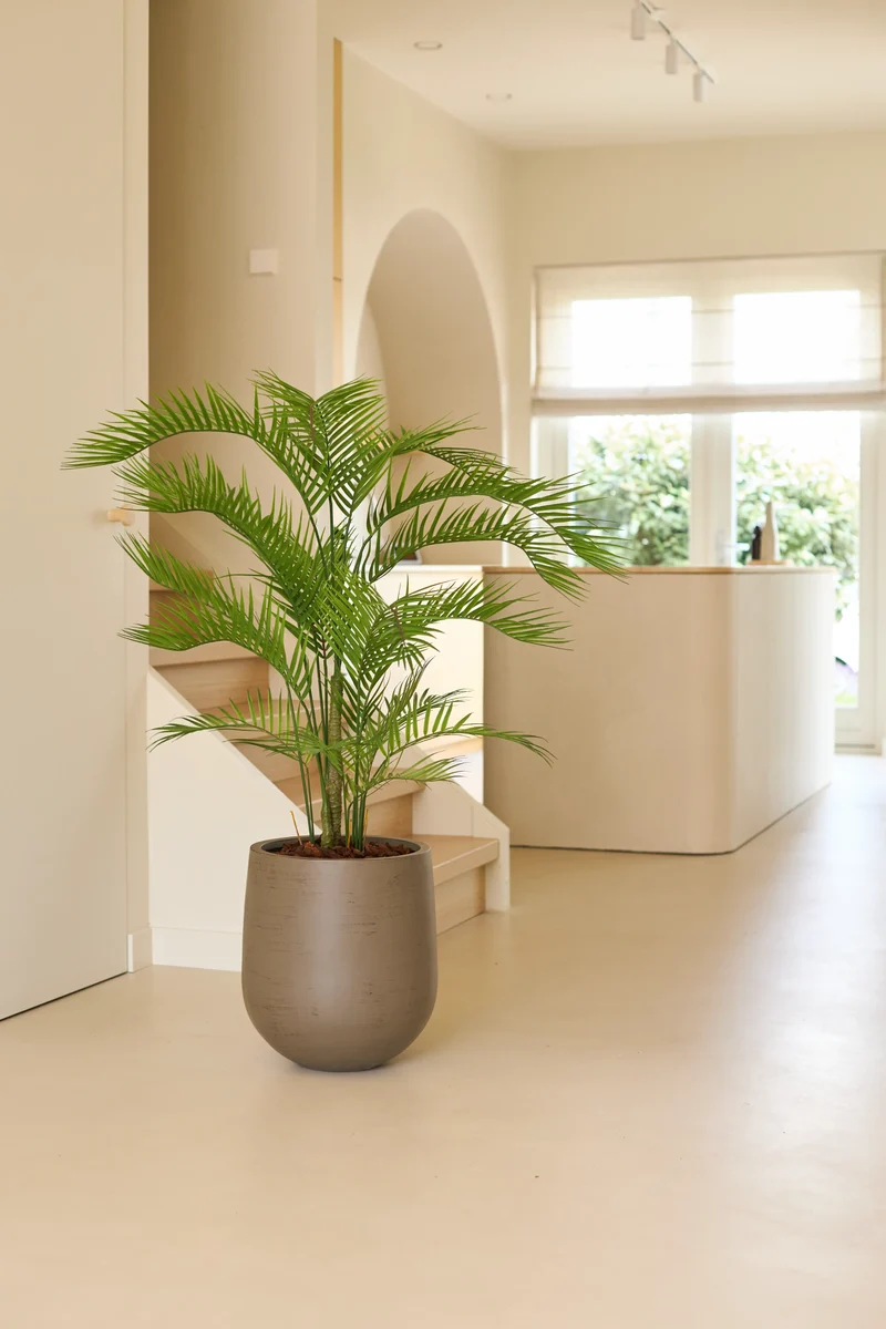 Kunstplant Chamaedorea 150 cm