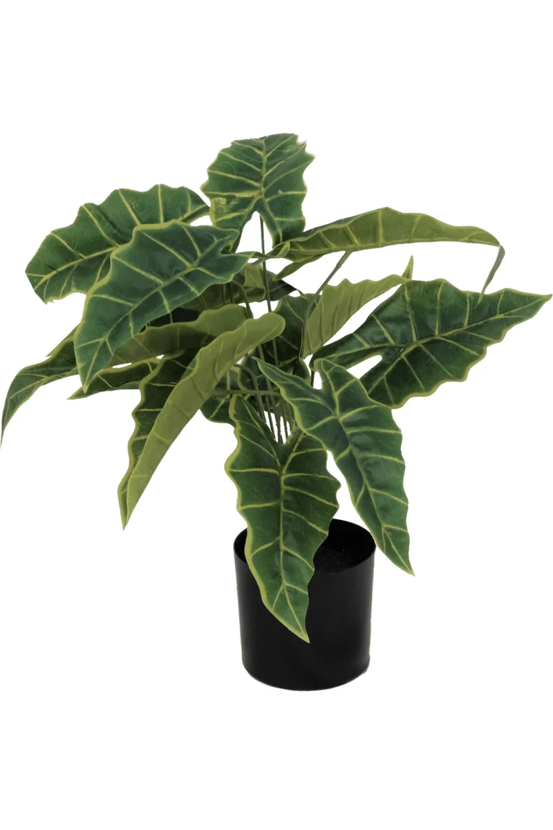 Alocasia Kunstpflanze 40cm
