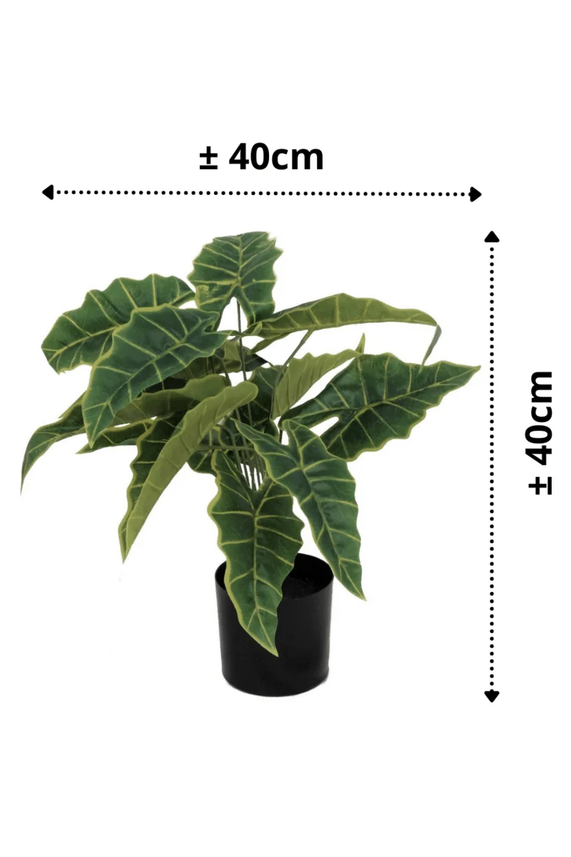 Alocasia Kunstpflanze 40cm