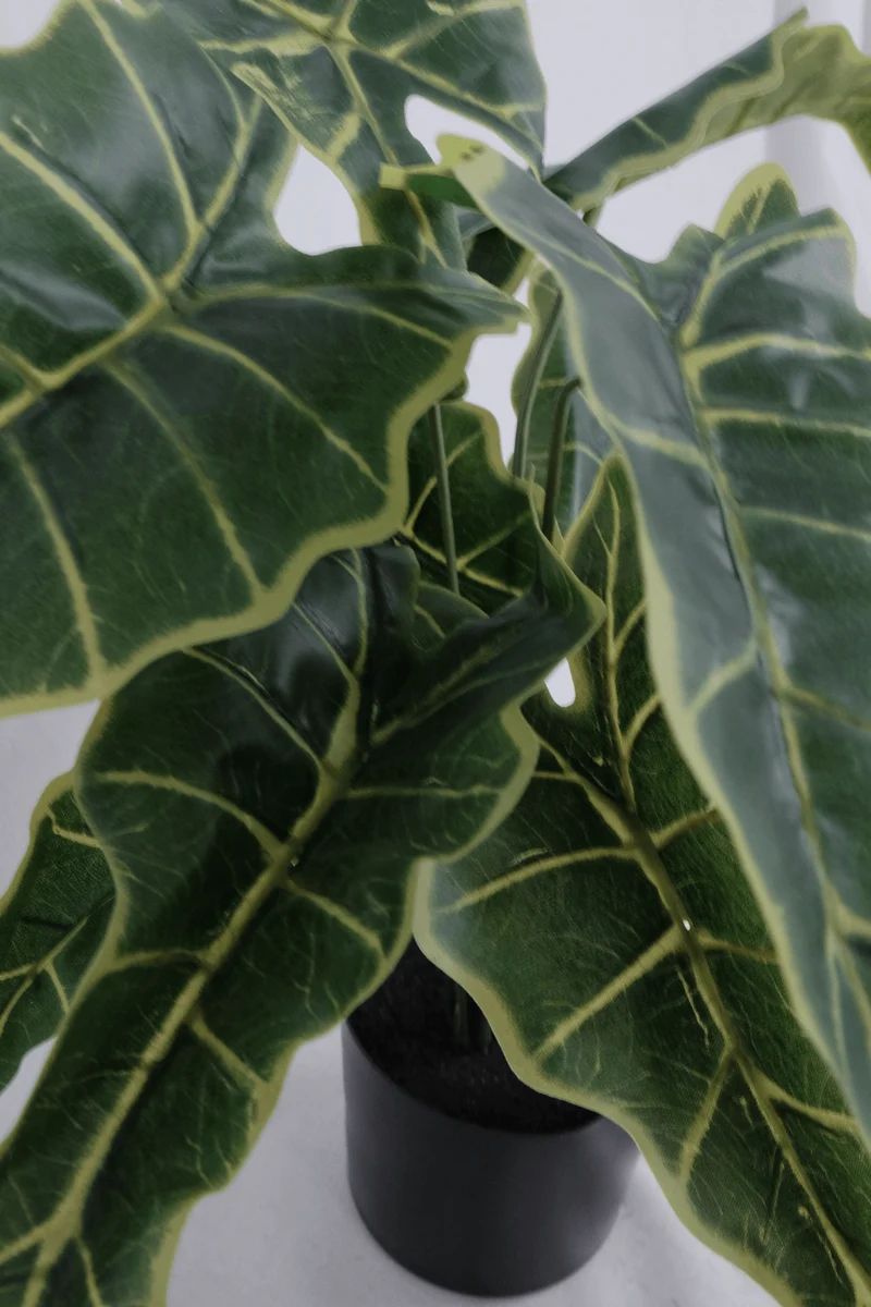 Alocasia Kunstpflanze 40cm