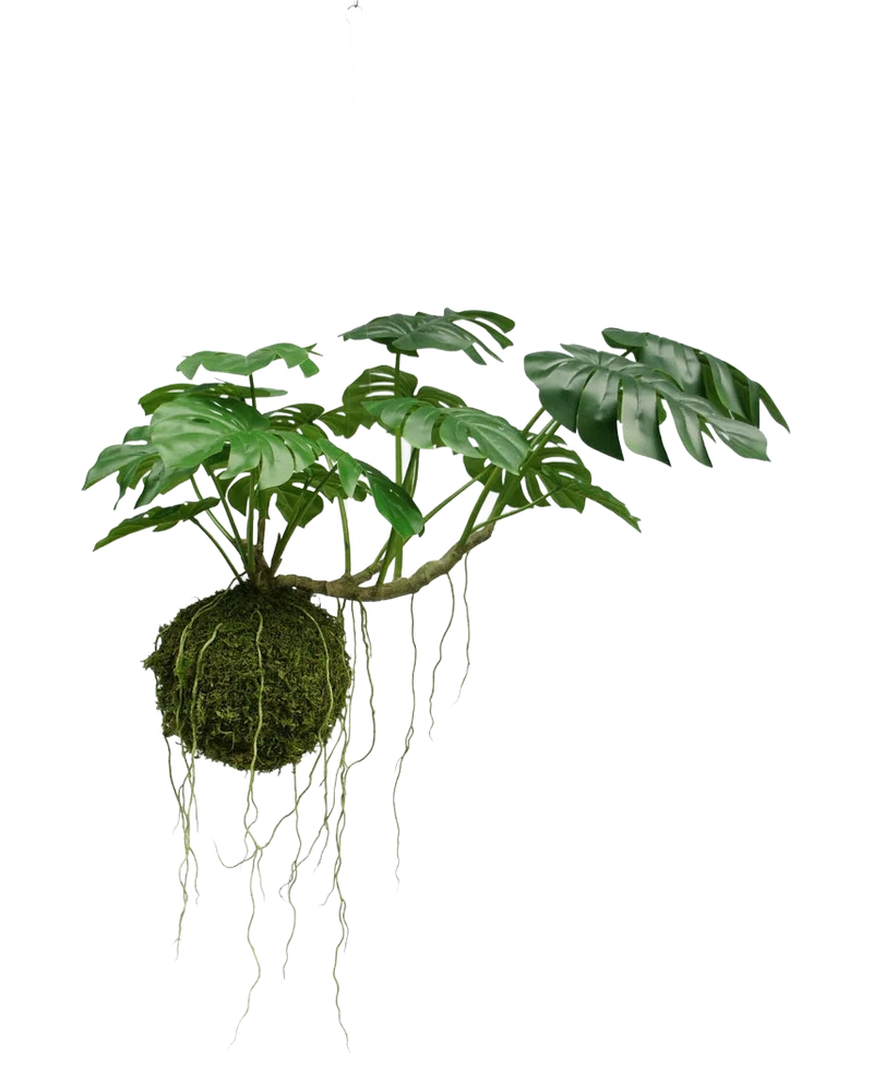 Künstliche Hängepflanze Monstera Deluxe 60 cm