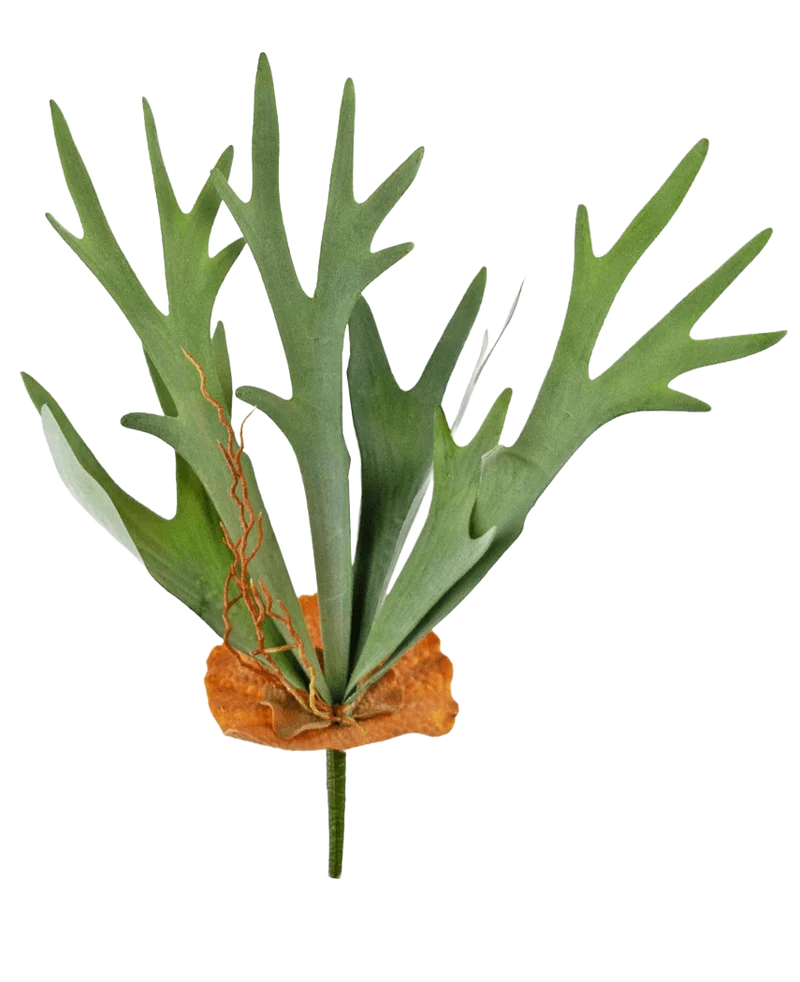 Künstliche Pflanze Staghorn 53 cm