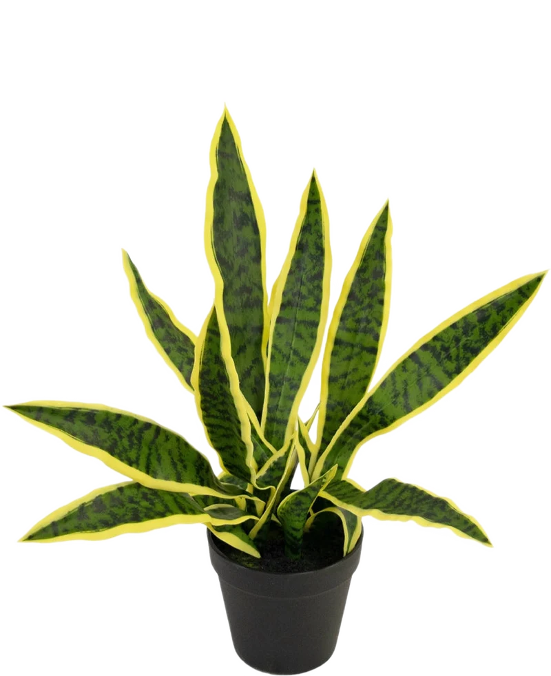 Kunstpflanze Sansevieria Laurentii 44 cm im Ziertopf