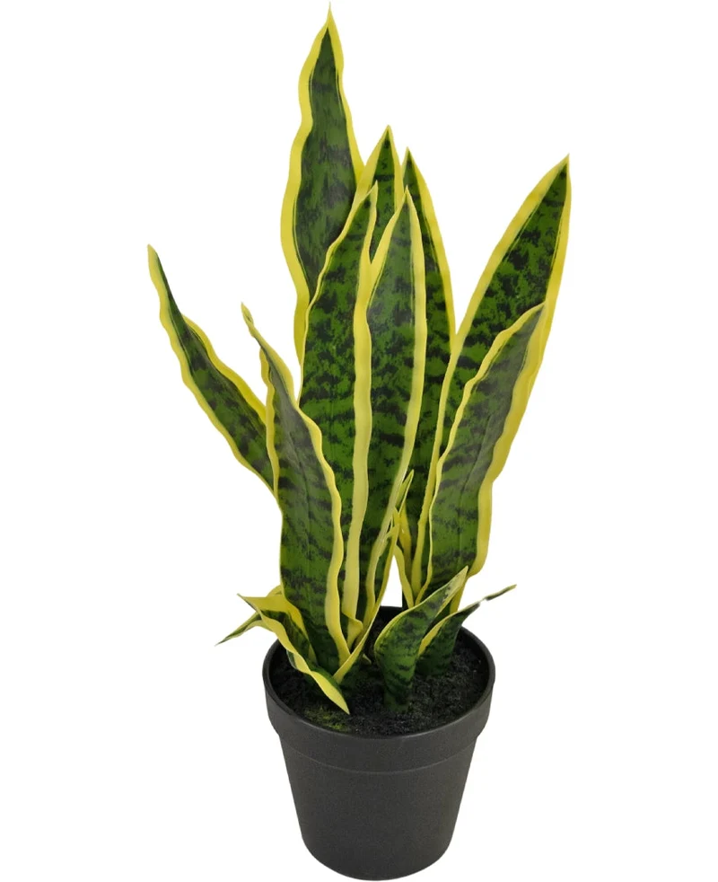 Kunstpflanze Sansevieria Laurentii 44 cm im Ziertopf