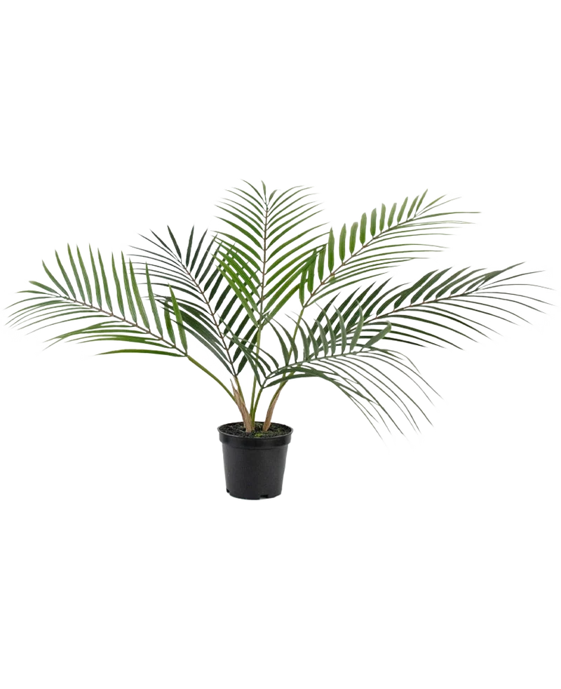 Künstliche Palme Chamaedorea 48 cm