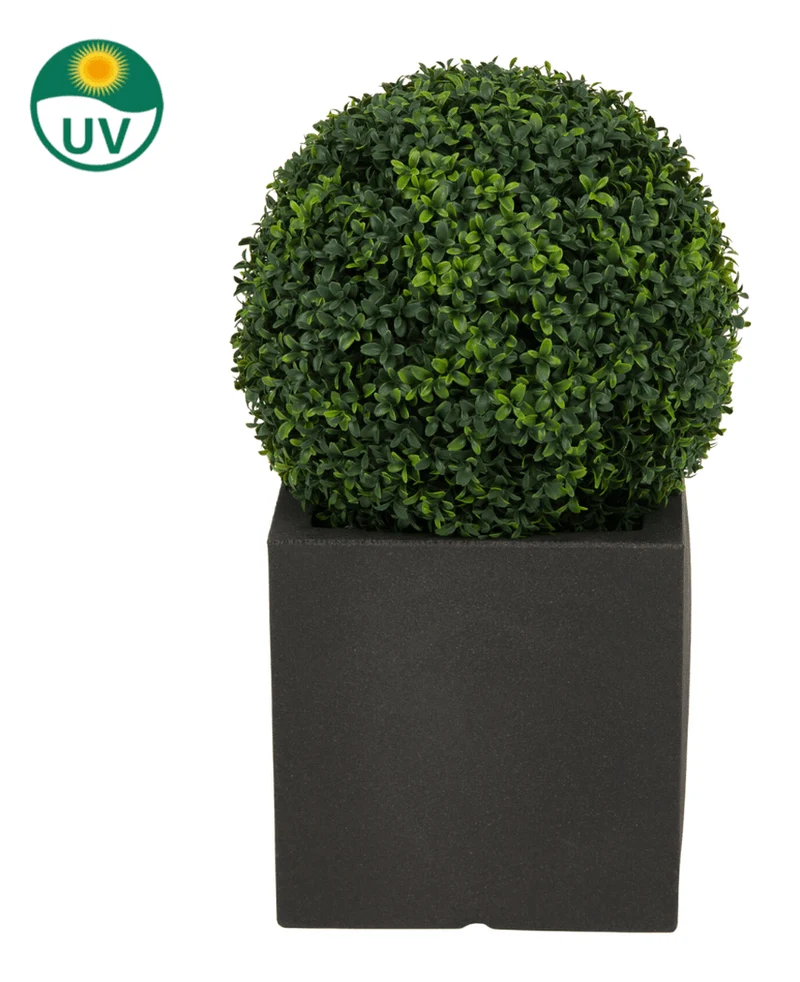 Kunstplant Buxus romeinse stijl UV D40cm