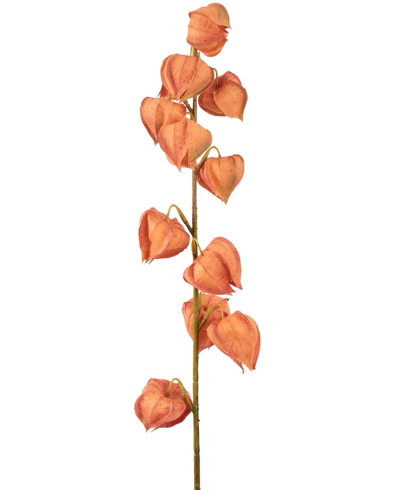 Künstliche Blume Lampionpflanze 79 cm orange