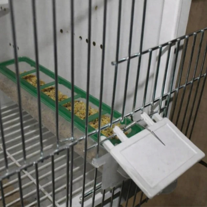 Apollo Feeder (grün) – Moldes Ave