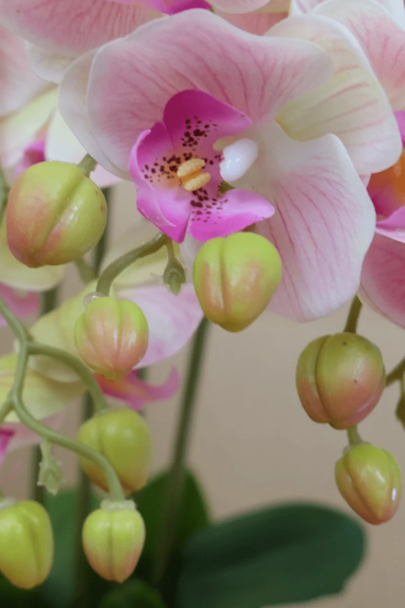 Orchidee Kunstpflanze Hellrosa 70cm