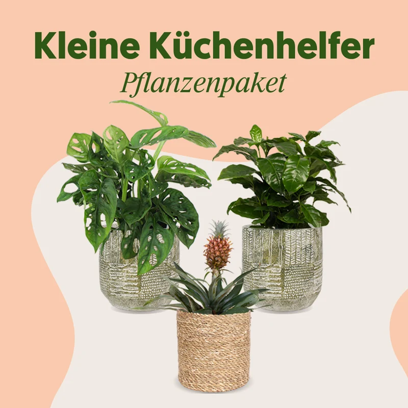 Kleine Küchenhelfer
