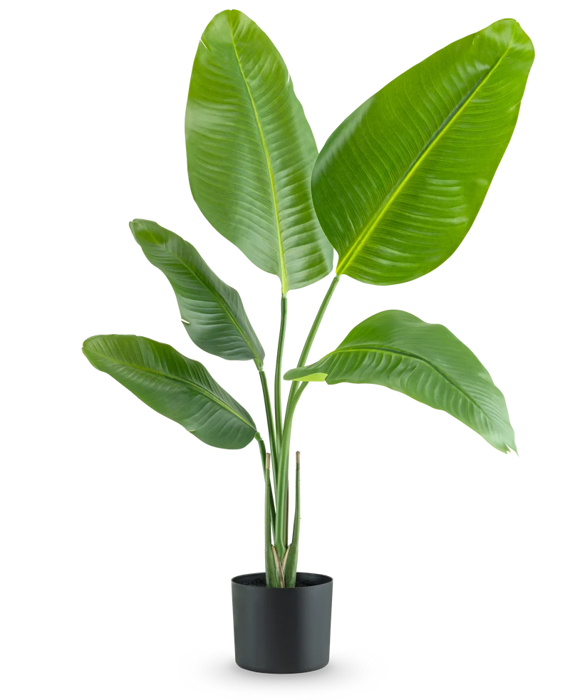Künstliche Pflanze Strelitzia 90 cm real touch